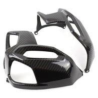 BMW R Nine T Carbon Zylinder Verkleidung 2014 - 2019.